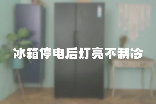 冰箱停電后燈亮不制冷
