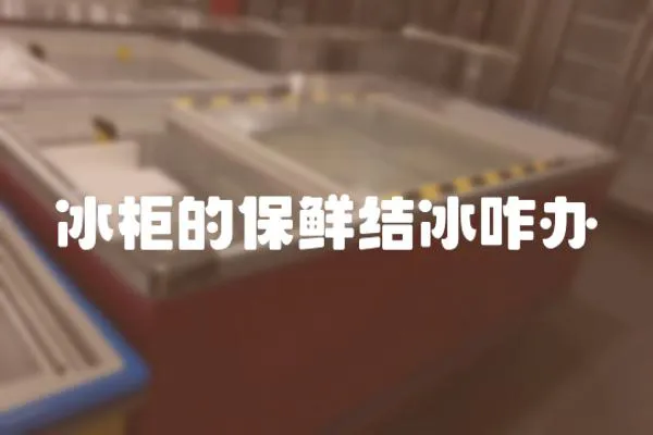 冰柜的保鮮結(jié)冰咋辦