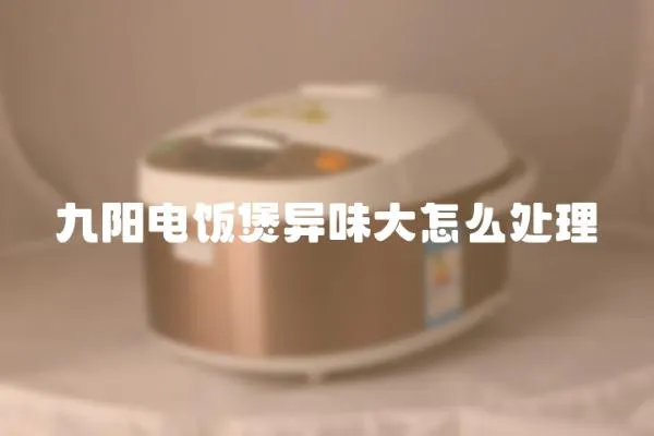 九陽電飯煲異味大怎么處理