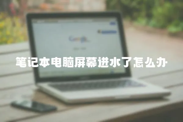筆記本電腦屏幕進水了怎么辦