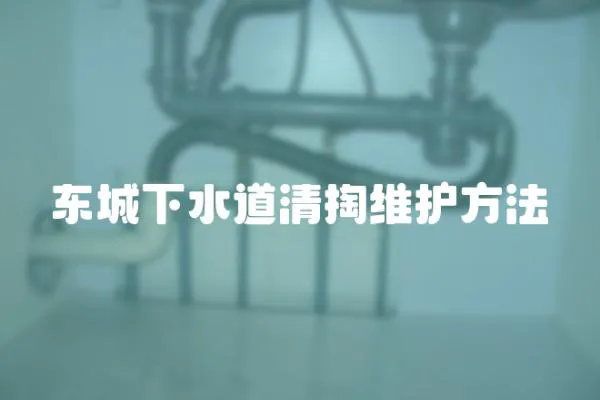 東城下水道清掏維護(hù)方法