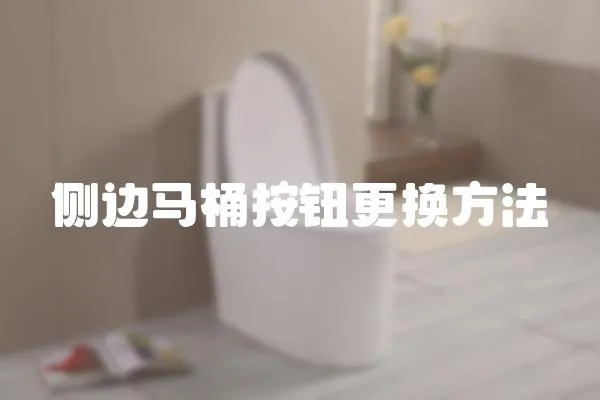 側(cè)邊馬桶按鈕更換方法