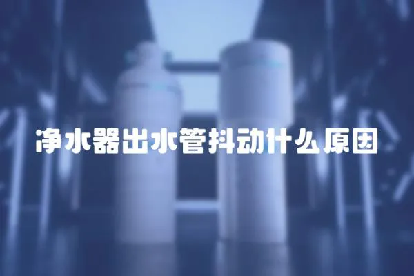 凈水器出水管抖動什么原因