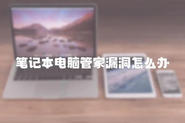 筆記本電腦管家漏洞怎么辦