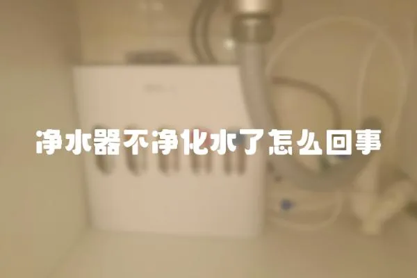 凈水器不凈化水了怎么回事