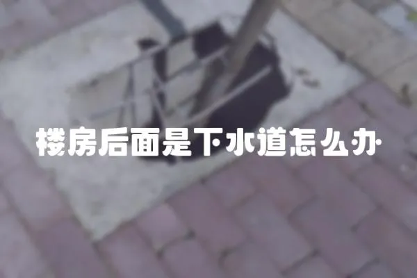 樓房后面是下水道怎么辦