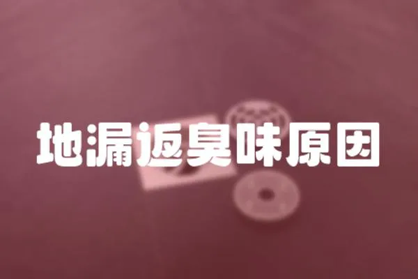 地漏返臭味原因
