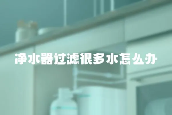 凈水器過濾很多水怎么辦