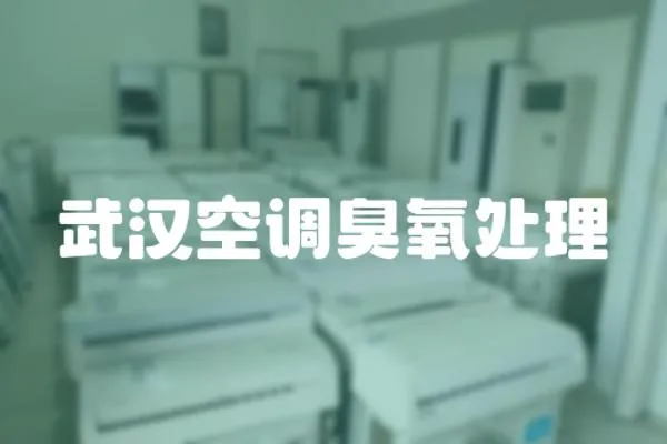 武漢空調臭氧處理