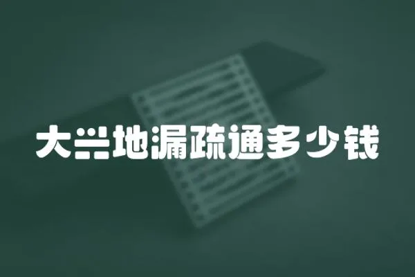 大興地漏疏通多少錢