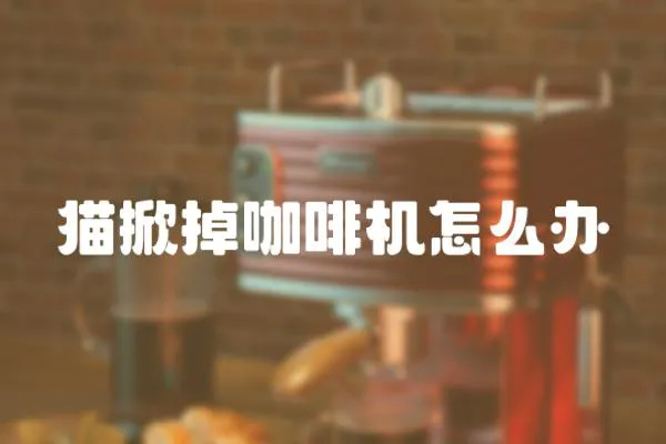 貓掀掉咖啡機怎么辦