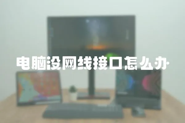 電腦沒網(wǎng)線接口怎么辦