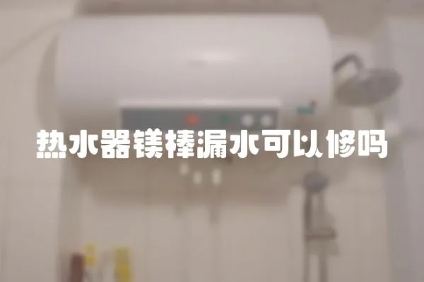 熱水器鎂棒漏水可以修嗎