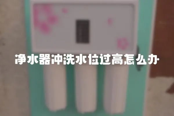 凈水器沖洗水位過高怎么辦