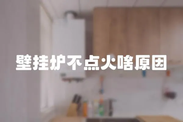 壁掛爐不點火啥原因