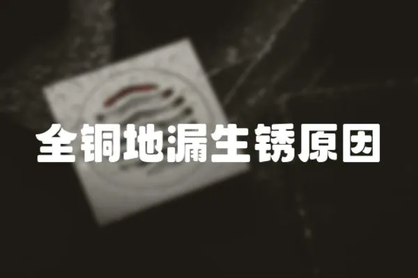 全銅地漏生銹原因