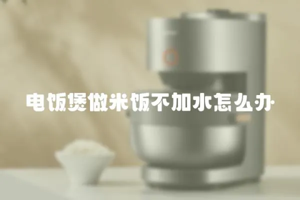 電飯煲做米飯不加水怎么辦