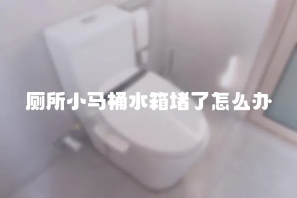 廁所小馬桶水箱堵了怎么辦