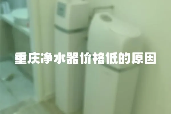 重庆净水器价格低的原因