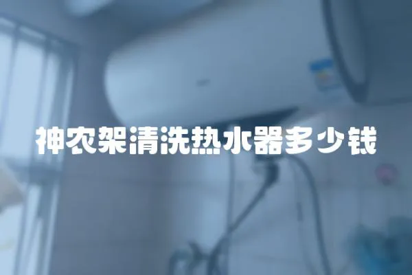 神農架清洗熱水器多少錢