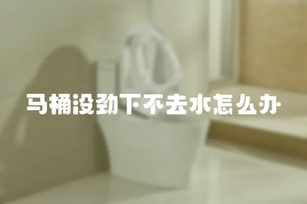 馬桶沒勁下不去水怎么辦