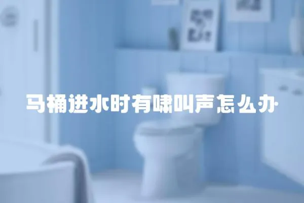馬桶進(jìn)水時(shí)有嘯叫聲怎么辦