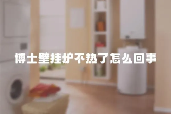 博士壁掛爐不熱了怎么回事