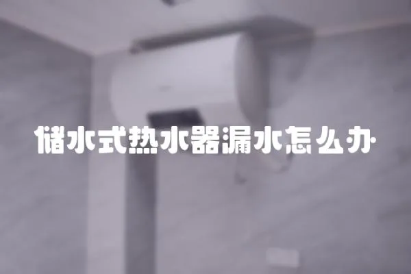 儲水式熱水器漏水怎么辦