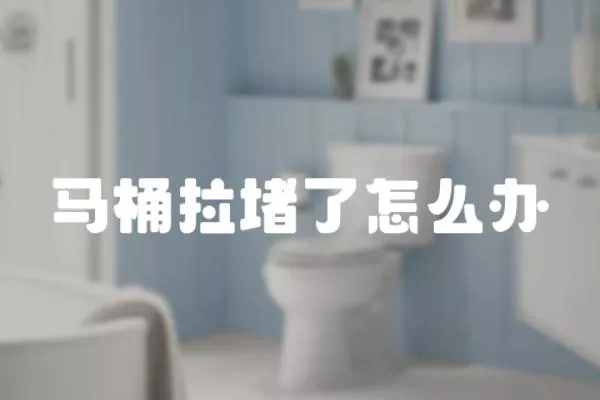馬桶拉堵了怎么辦