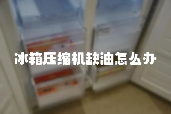 冰箱壓縮機(jī)缺油怎么辦