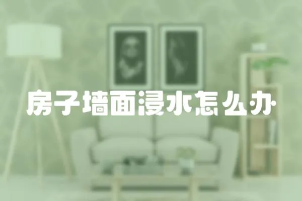 房子墻面浸水怎么辦