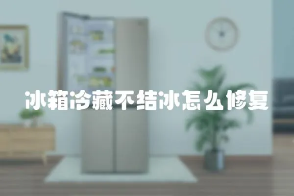 冰箱冷藏不結(jié)冰怎么修復(fù)