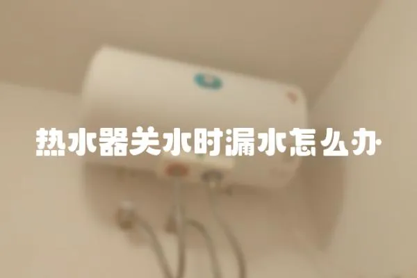 熱水器關水時漏水怎么辦