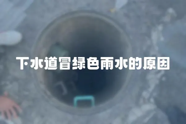 下水道冒綠色雨水的原因