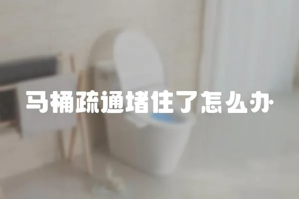 馬桶疏通堵住了怎么辦