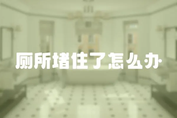 廁所堵住了怎么辦