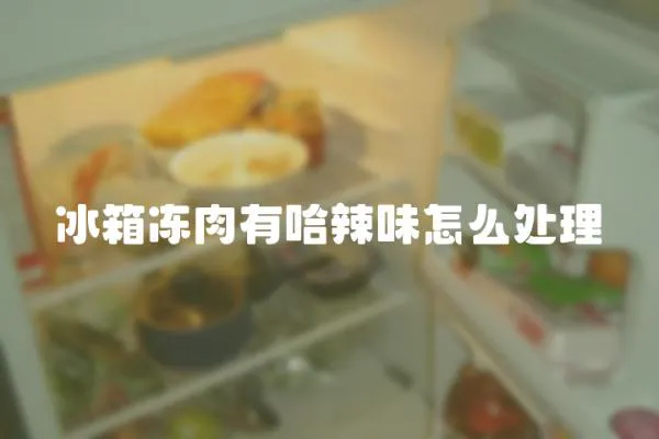 冰箱凍肉有哈辣味怎么處理