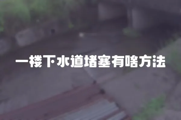 一樓下水道堵塞有啥方法
