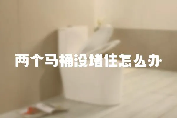 兩個馬桶沒堵住怎么辦