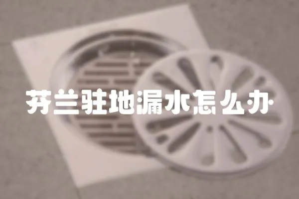 芬蘭駐地漏水怎么辦