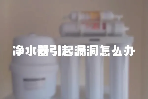 凈水器引起漏洞怎么辦