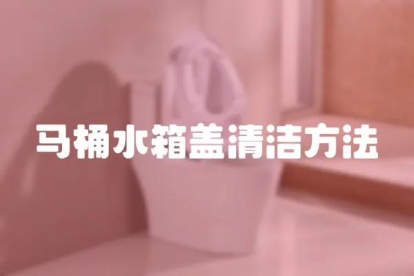 馬桶水箱蓋清潔方法