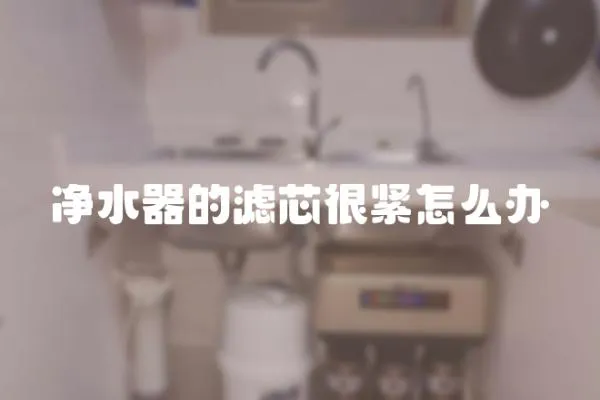 凈水器的濾芯很緊怎么辦