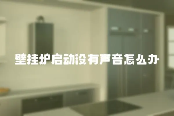 壁掛爐啟動沒有聲音怎么辦
