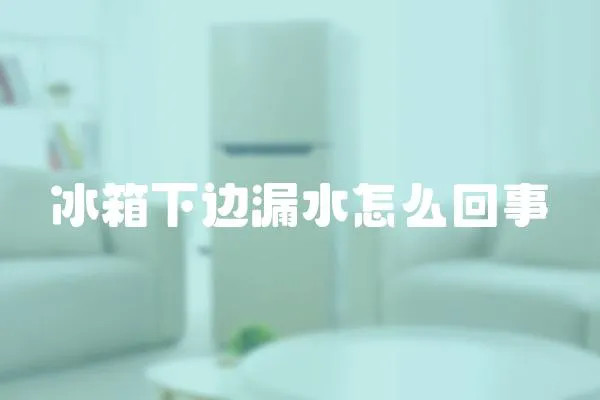 冰箱下邊漏水怎么回事