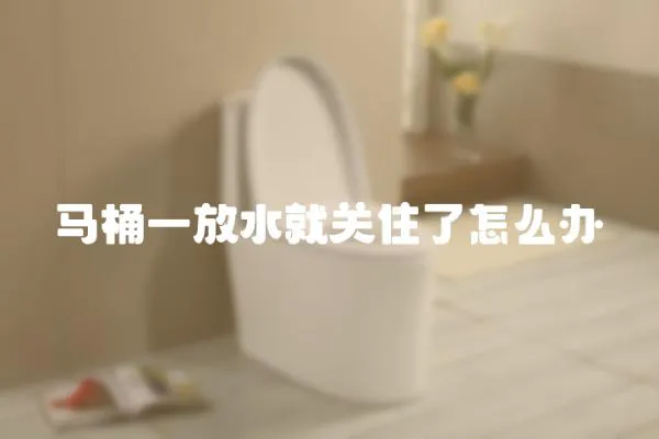 馬桶一放水就關住了怎么辦