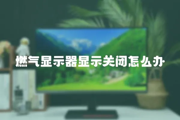 燃?xì)怙@示器顯示關(guān)閉怎么辦