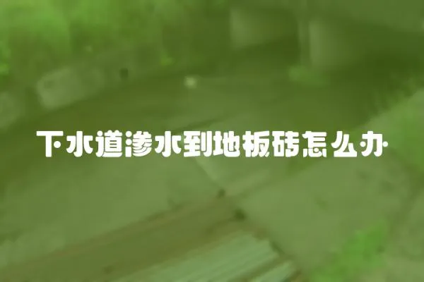 下水道滲水到地板磚怎么辦