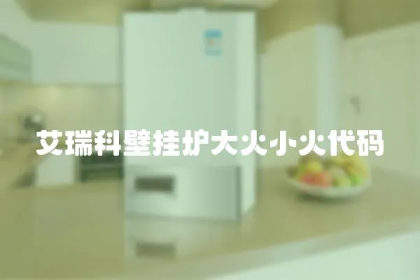 艾瑞科壁掛爐大火小火代碼