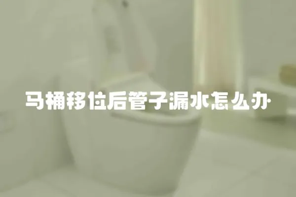 馬桶移位后管子漏水怎么辦